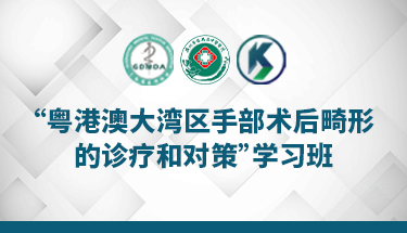 “粤港澳大湾区手部术后畸形 的诊疗和对策”学习班