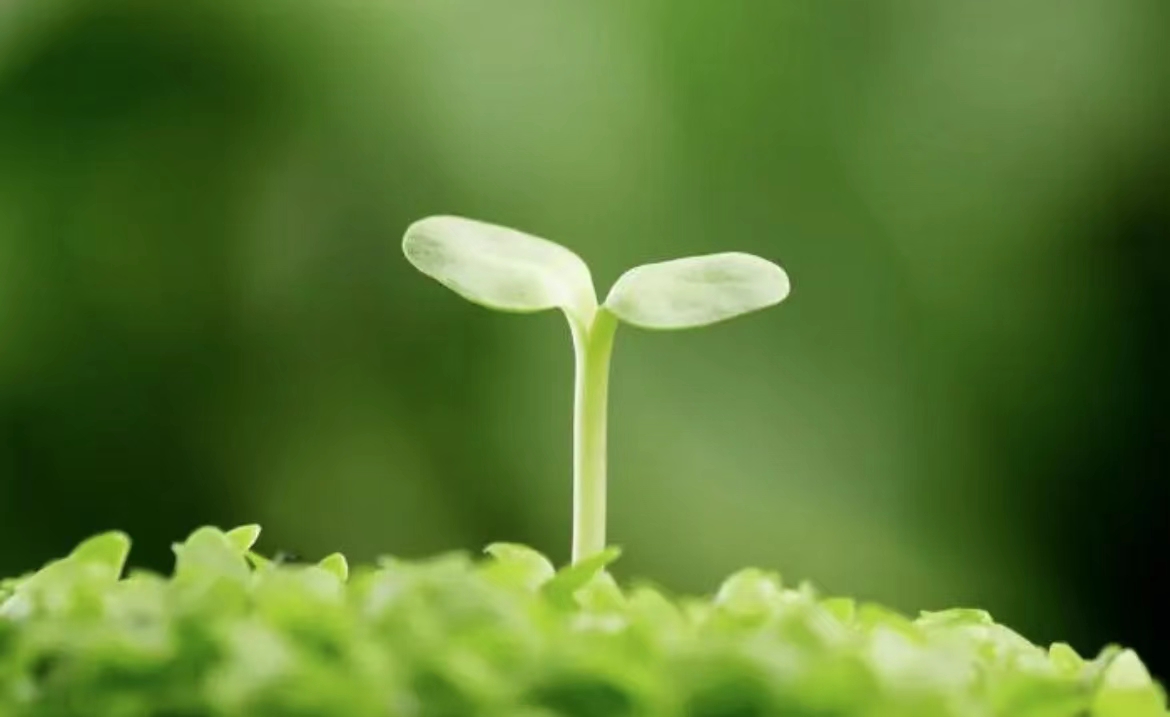 【科创学院】第十六期显微外科高阶培训